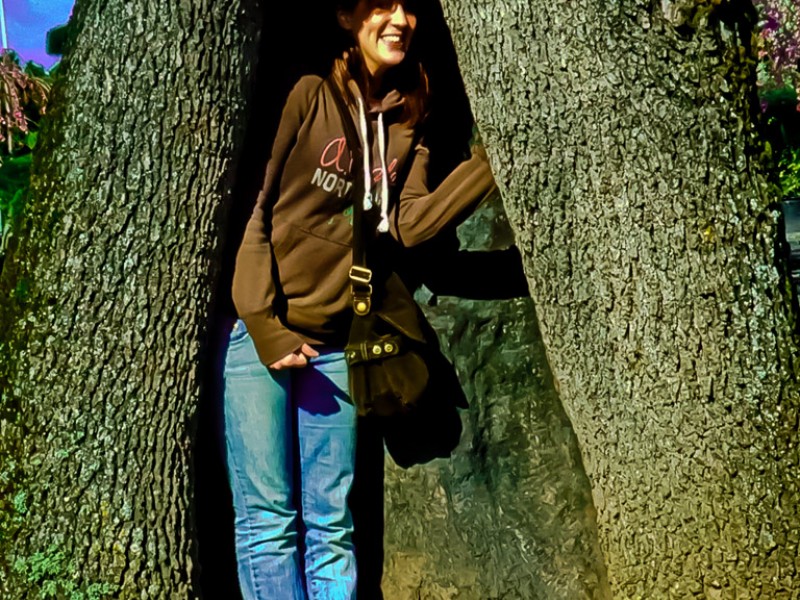 brooke-tree-cave_web