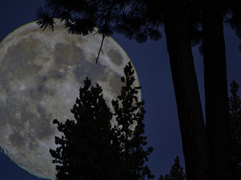 moon-sisters-800x530